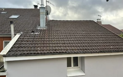 Démoussage de toiture à Nancy : entretien pour prolonger la vie de votre couverture